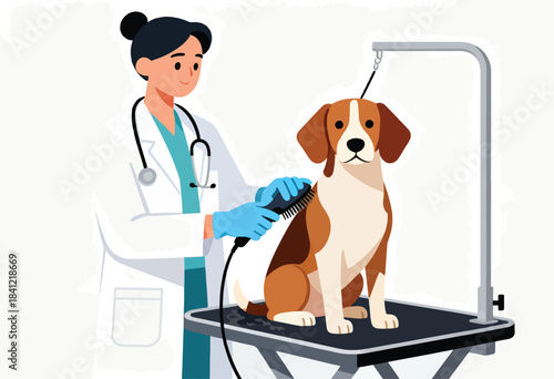A vet in a lab coat grooms a beagle on a grooming table. She uses a brush and has a stethoscope