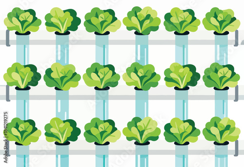 Illustration of a hydroponic farm, with rows of leafy green vegetables growing in vertical systems