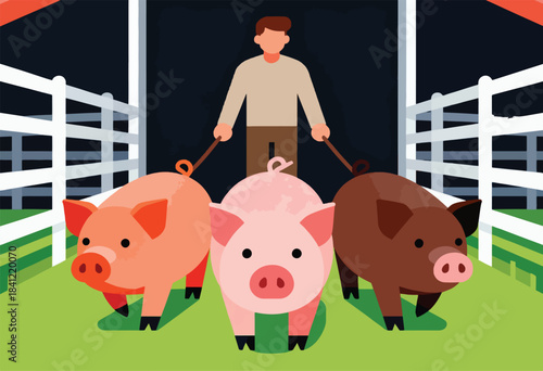 An illustration of a person holding leashes attached to three pigs with different colors, inside a fence