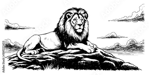Majestic male lion lying on a rocky hill vector illustration in black and white vintage engraving style
