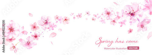 春の花：風に乗って流れる桜と花びらの背景。水彩イラスト。ルーズタッチ。（ベクター）