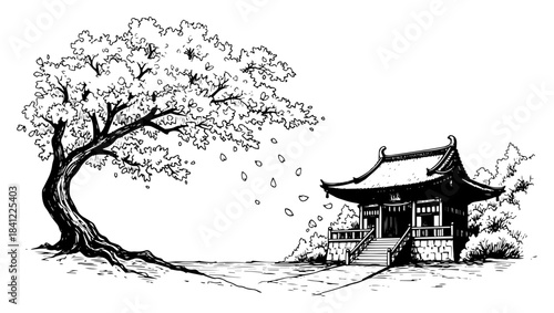 Japanese cherry blossom tree with falling petals and traditional temple shrine Vector black and white sketch illustration of Asian spring landscape