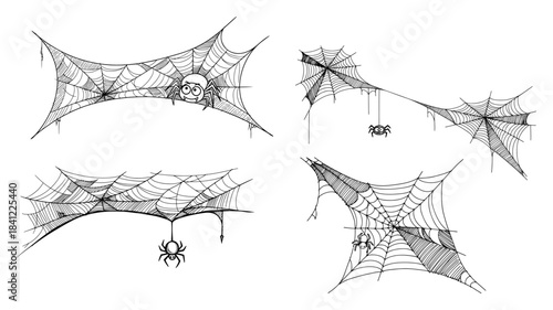 Hand drawn spider web vector set spooky halloween cobweb collection with spiders sketch