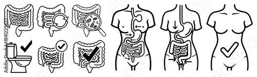 Digestive system line icon set with human gut health and metabolism symbols