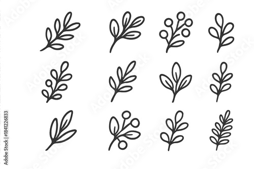 Collection of simple hand drawn botanical elements featuring leaves and berry branches