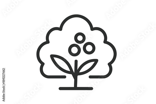 Minimalist stylized berry bush or small fruit tree with three round fruits