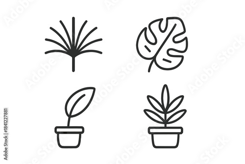Simple outline icons featuring tropical leaves and potted indoor houseplants