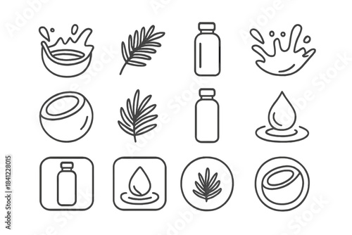 Coconut, palm leaf, oil bottle, and liquid splash elements for natural cosmetics
