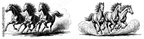 Herd of wild horses running fast vector illustration showing galloping animals with dust clouds in dynamic black and white engraving sketch style