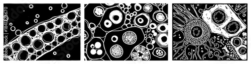 Microscopic Cell Cross Section Pattern Set Line Art Vector – Biology Texture Background Illustrations