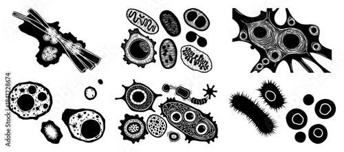 Microorganism Icon Set Line Art Vector – Bacteria Virus Cell Microbe Illustrations
