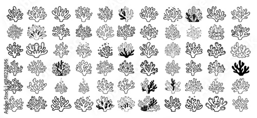 Coral Reef Silhouette Icons Huge Collection Marine Branch Shapes Vector Illustration