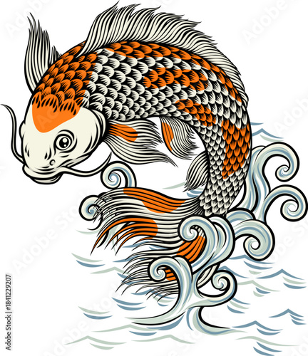 A koi carp coy fish. An original illustration in a vintage Japanese painting art style.