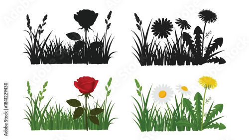 Silhouettes and colorful depictions of various wildflowers and grasses