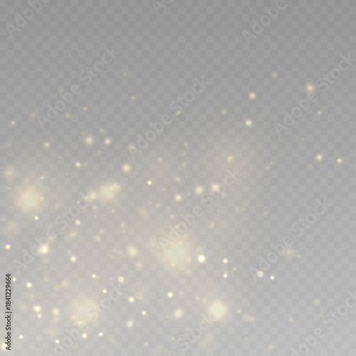 Fine golden particles float softly with radiant shimmer. The glowing texture adds visual richness and magical sophistication. Perfect for festive premium visuals VECTOR