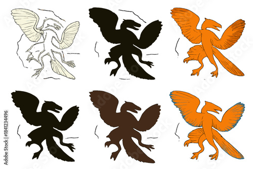 Archaeopteryx Feather Styles. Reconstruction of archaeopteryx feather in fossil pose, showing connection between primitive bird