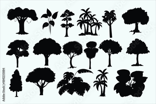 Tree and plant silhouettes. Various deciduous, evergreen, tropical plants. Diverse shapes