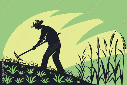 Farmer spraying rice field with tractor silhouette at sunset
