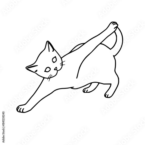 Minimal black line art cat stretching, clean outline, isolated on white background.