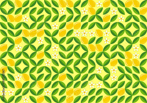 Citrus Floral Geometric Pattern, seamless vector background
