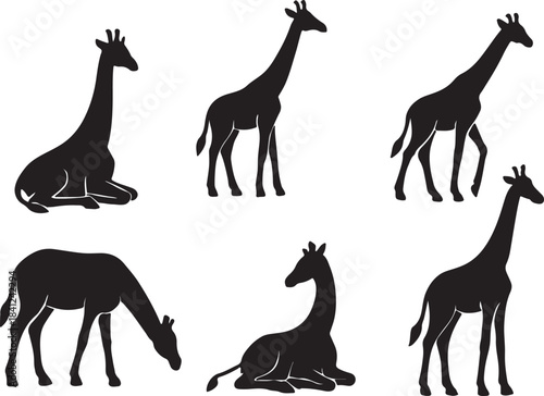 Giraffe Silhouettes: African Wildlife Vector Set