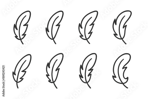 Minimalist outline set of eight bird feathers arranged in a grid pattern