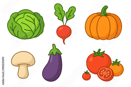 Collection of fresh organic vegetables including cabbage radish pumpkin eggplant and tomato