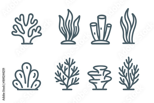 Minimalist outline symbols of underwater sea plants and coral organisms
