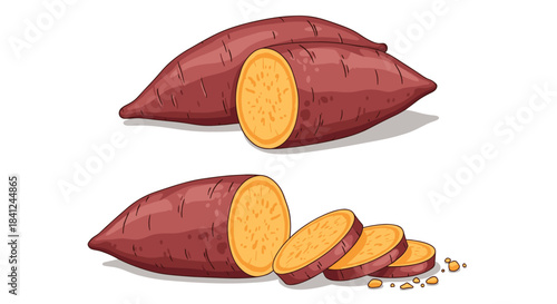 Set of vector illustrations showing whole, halved, and sliced orange sweet potatoes isolated on a white background for cooking.