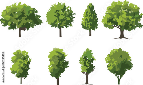 Collection of Eight Diverse Green Leafy Trees on White Background Keywords: tree, trees, green, nature, foliage, leaves, branches