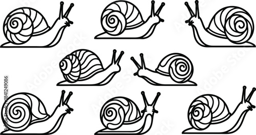 Collection of snail illustrations in various poses and angles