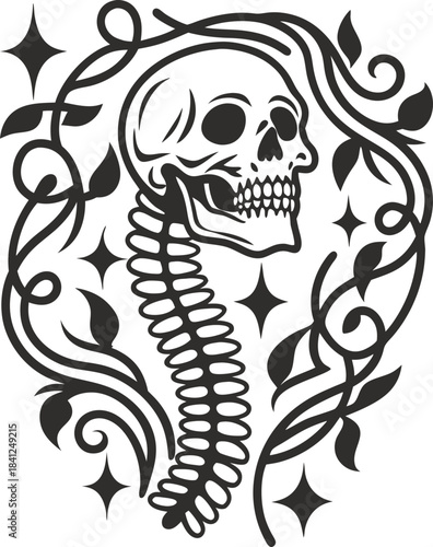 Skull with curved spine and mystical vines vintage monochrome skeleton illustration with decorative stars and botanical gothic elements