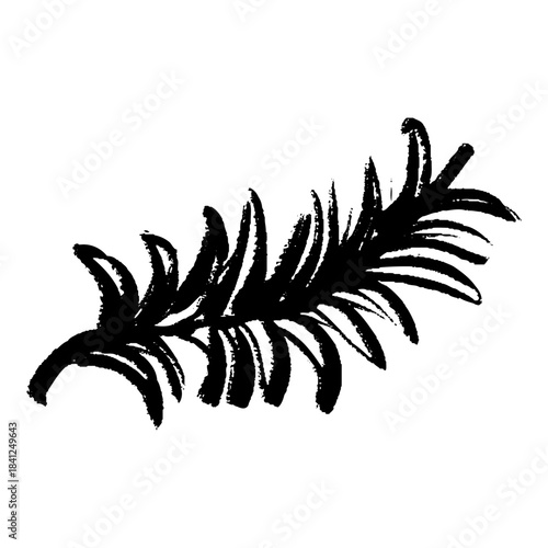 ローズマリーの手描きハーブイラスト