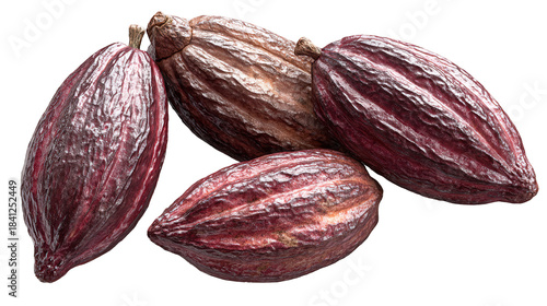 A cluster of cacao pods symbols of rich chocolate heritage and natural goodness on a stark on transparent background