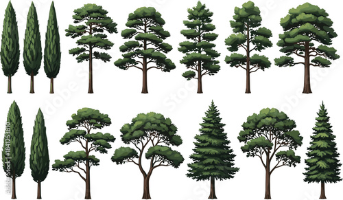 Highly Detailed Vector Set of Coniferous Trees, Including Italian Cypress and Pine Varieties, Ideal for Realistic Landscape Architecture and Nature Illustrations.