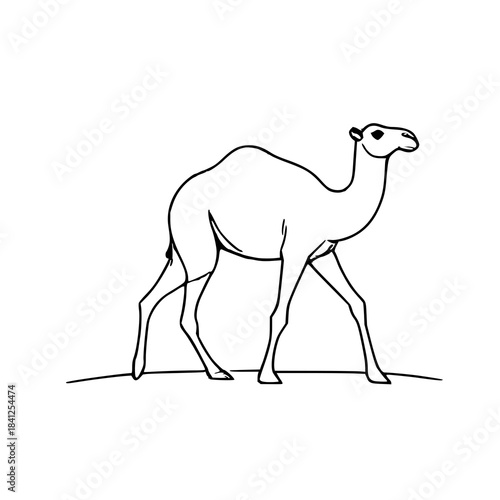 Minimalist camel illustration with clean modern lines, ideal for desert-themed graphics, travel icons, stickers, prints, and digital design projects.