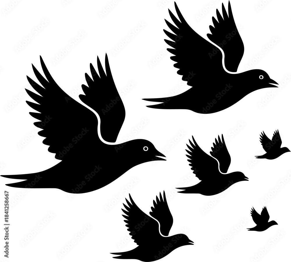 Fototapeta premium Flying pheasant bird silhouette vector illustration