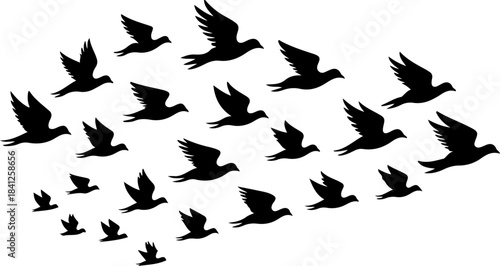 Flying pheasant bird silhouette vector illustration