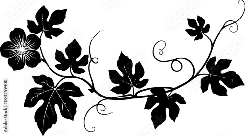 Decorative Grapevine Silhouette with Flower