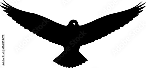 Bird with Spread Wings Silhouette