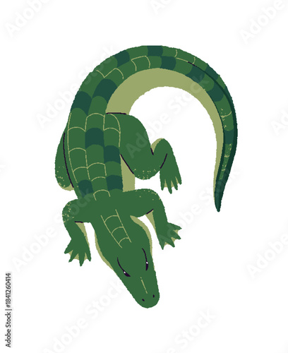 Green crocodile is lying top view. Above of wild alligator. Reptilian or amphibian of tropical swamps. Exotic reptile relaxes, has a rest. Flat isolated vector illustration on white background