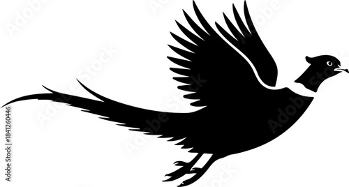 Flying pheasant bird silhouette vector illustration