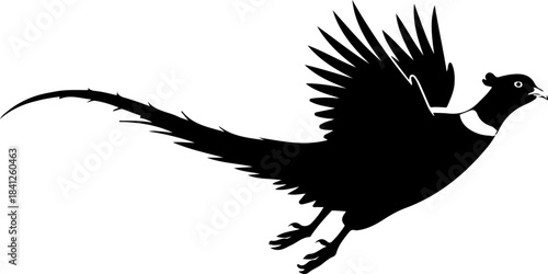 Flying pheasant bird silhouette vector illustration