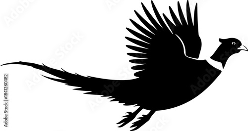 Flying pheasant bird silhouette vector illustration
