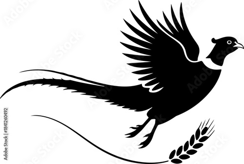 Flying pheasant bird silhouette vector illustration