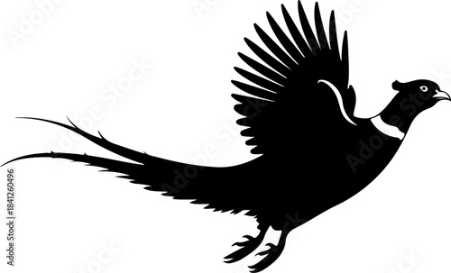 Flying pheasant bird silhouette vector illustration