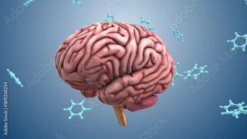 Human Brain Linked with Moving Molecular Particles