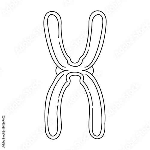 Chromosome diagram for genetics DNA biology cells science education Molecular structure human genome vital gene material