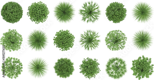 Top-Down Green Plant Collection with Diverse Leaf Shapes and Shrub Designs for Landscape Architecture, Garden Planning, and Environmental Illustration Use