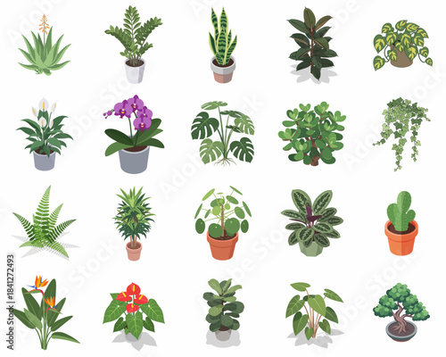 Isometric Detailed Various Potted Houseplant Collection Illustration Elements